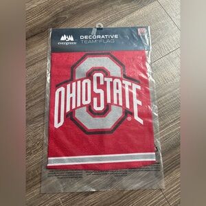 Evergreen Ohio State Decorative Team Flag - Scarlet/White